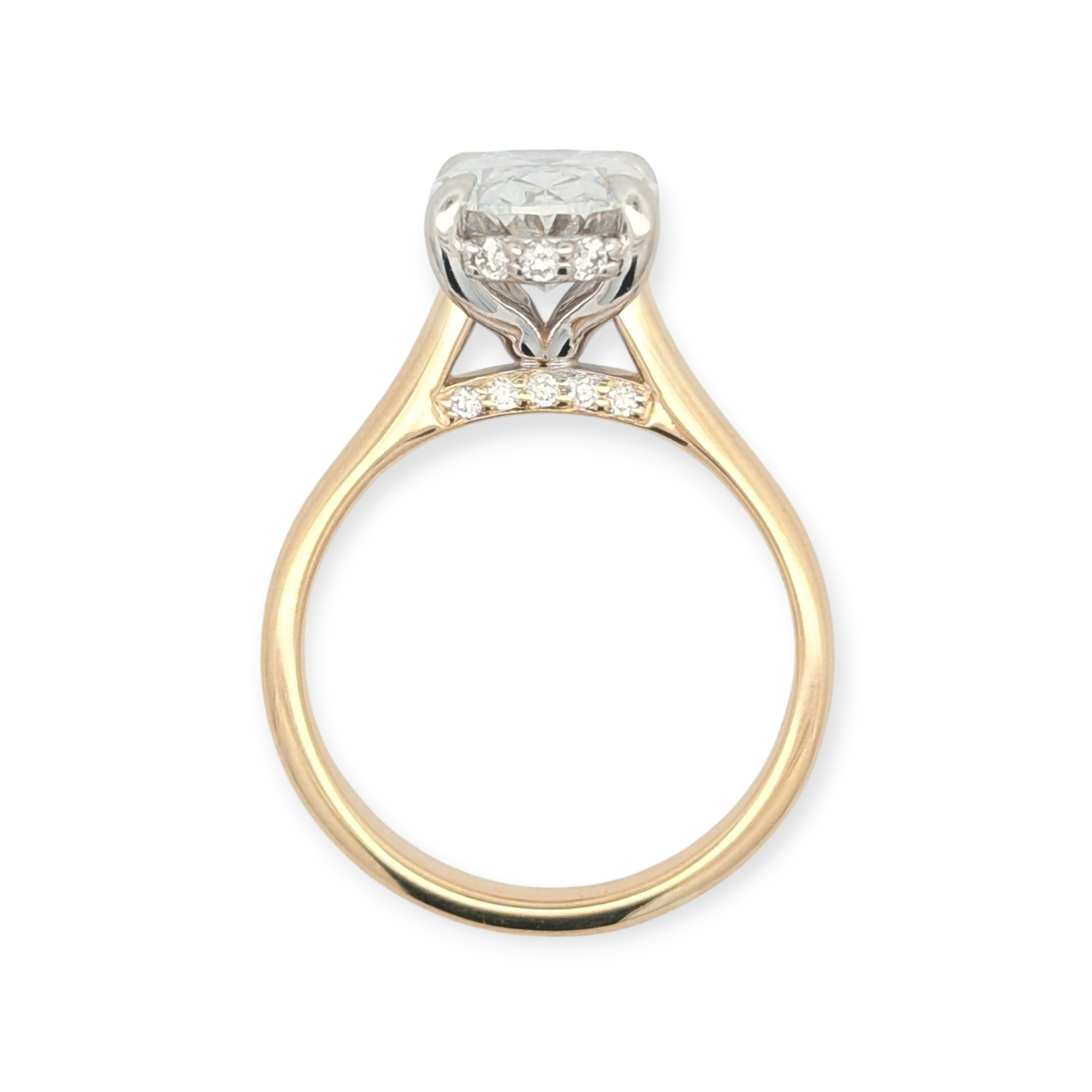 Classic Hidden Halo Solitaire Engagement Ring [Made to Order]